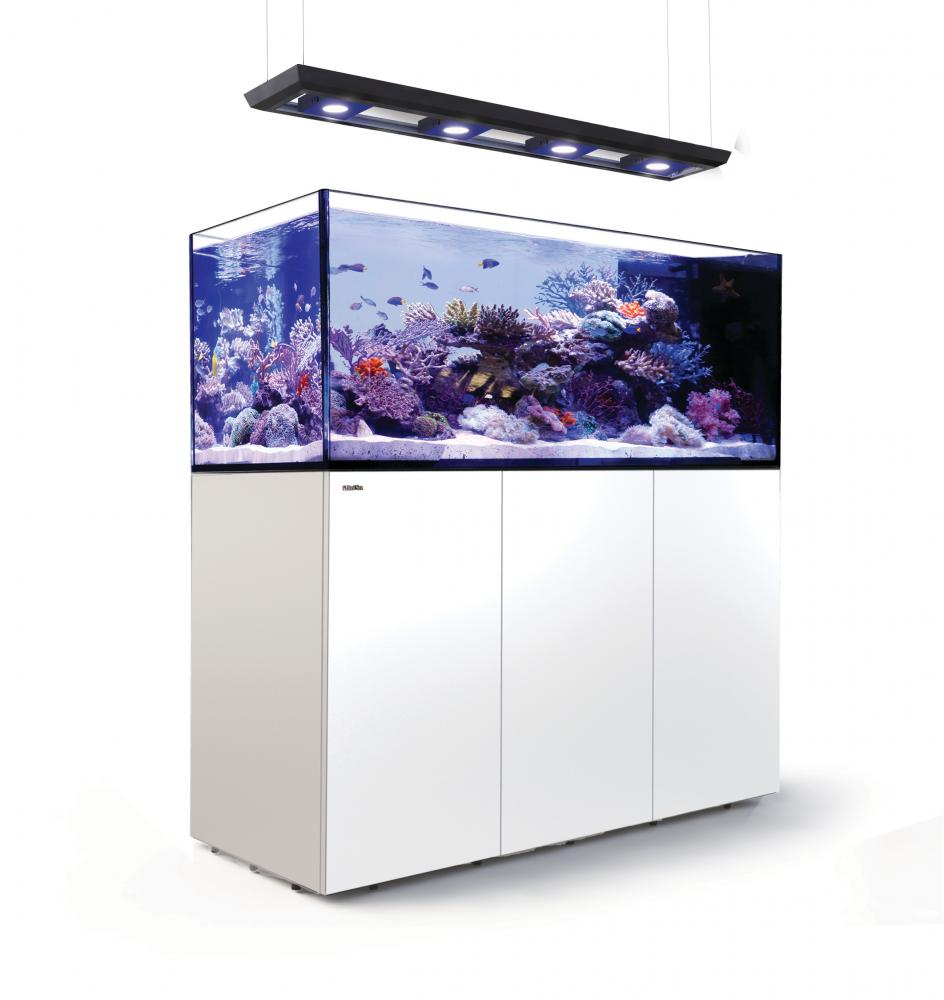 Red Sea Reefer Peninsula 650 DELUXE Meerwasseraquarium Komplettset Red Sea Reefer Peninsula 650 DELUXE Meerwasseraquarium Komplettset